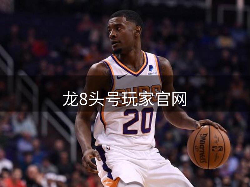 网站概况