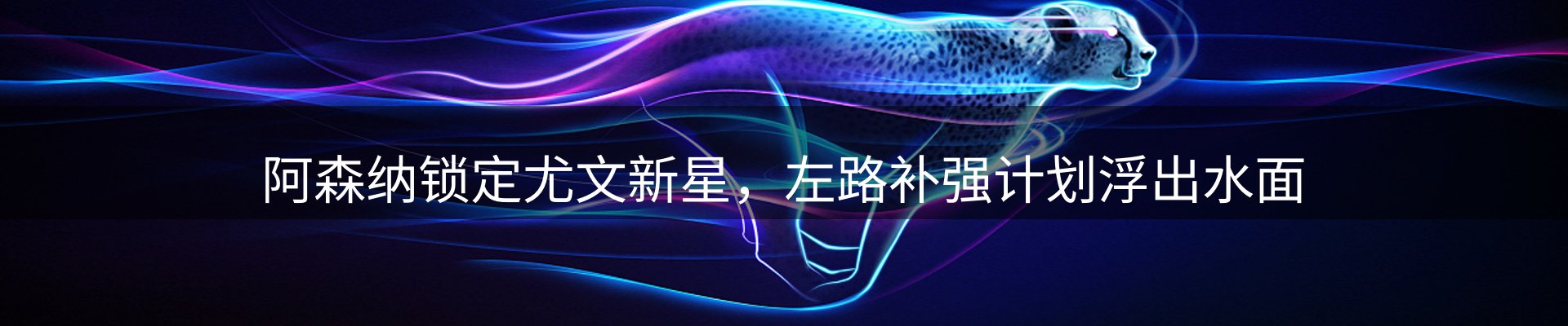 内页banner